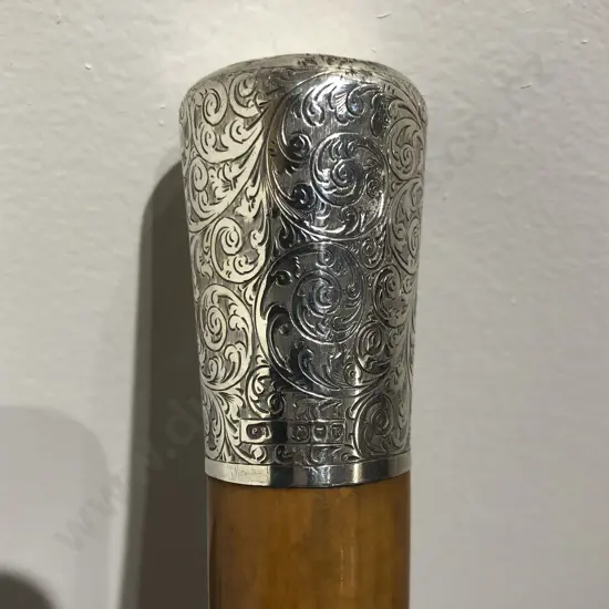 S/S Topped Walking Stick