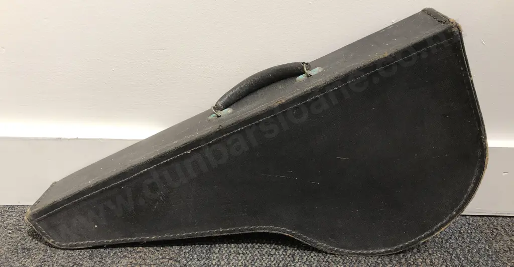 Banjo in Case Image 1++