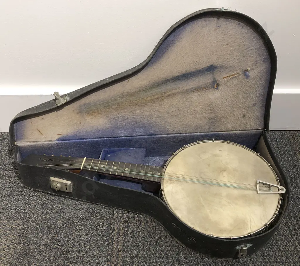 Banjo in Case Image 1++