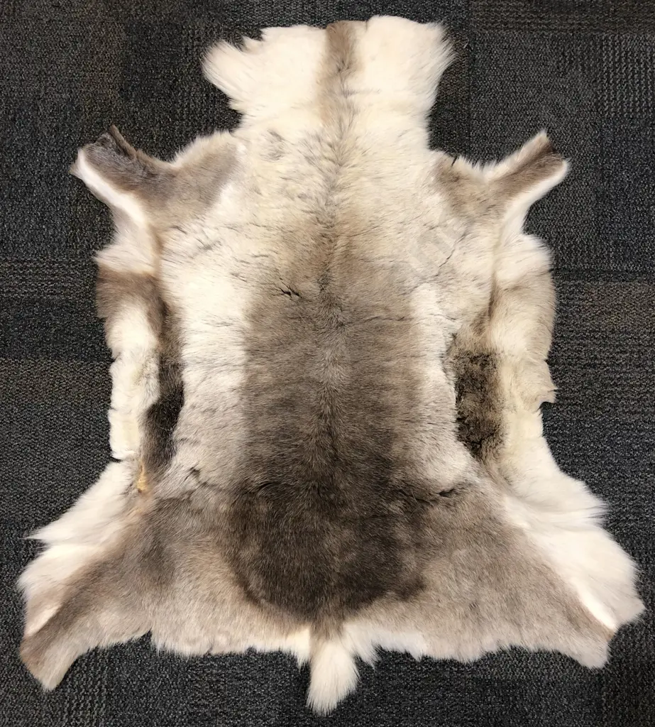 Reindeer Skin Image 1++