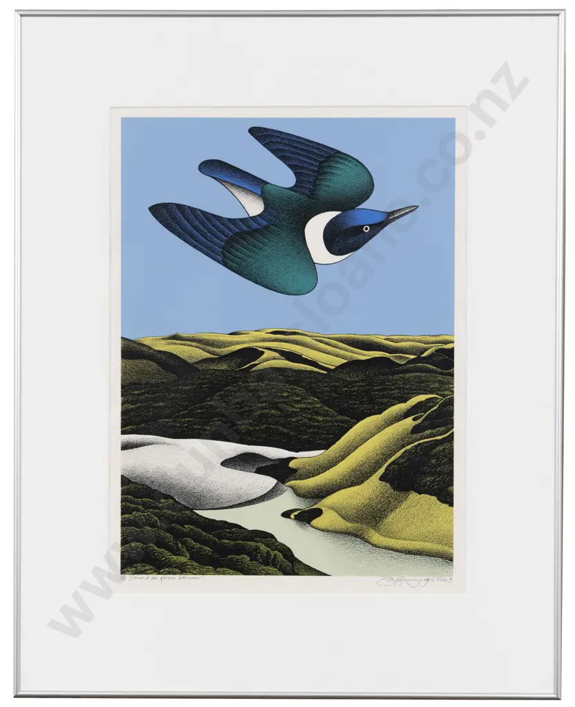 Donald Binney (1940 - 2012) - Swoop Of The Kotare Wainamu Image 1++