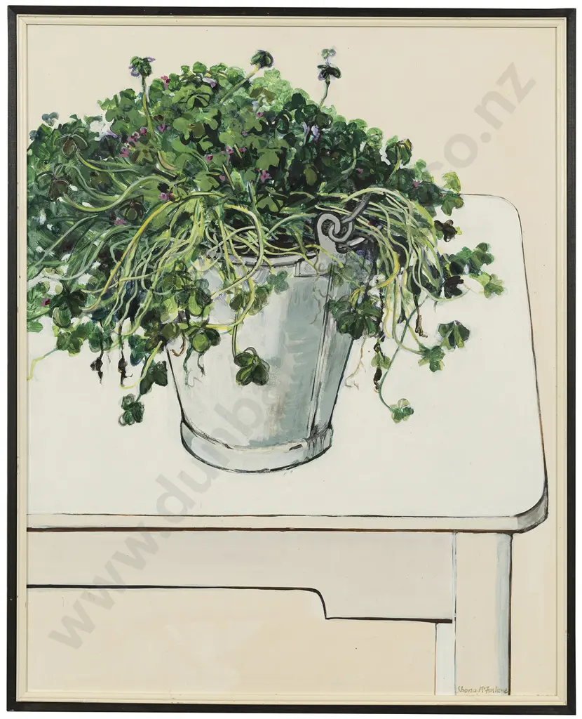 Shona McFarlane (1929 -2001) - Shamrocks Growing in a Bucket Image 1++