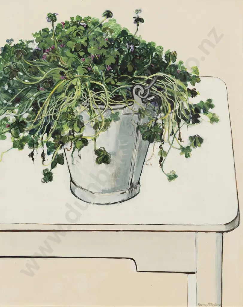 Shona McFarlane (1929 -2001) - Shamrocks Growing in a Bucket Image 1++
