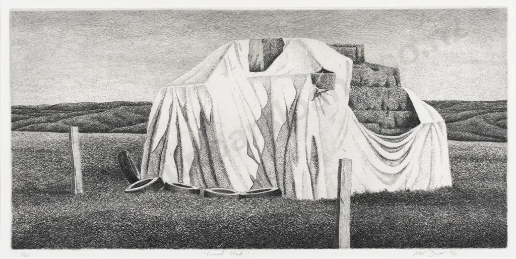 Neil Driver (b 1951) - Covered Stack Image 1++