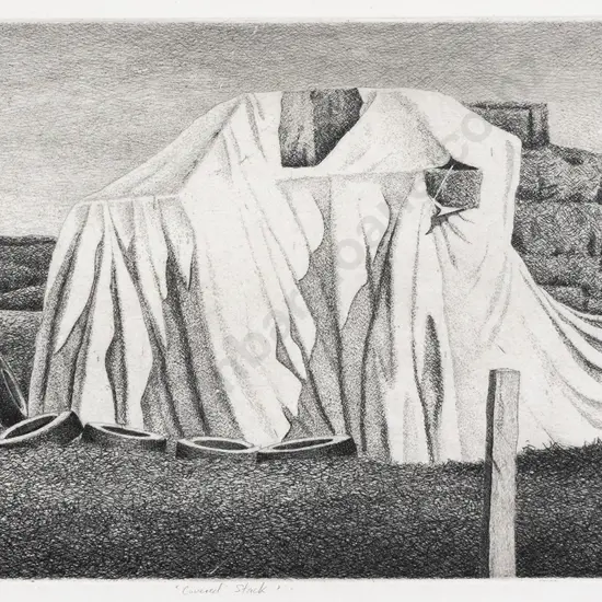Neil Driver (b 1951) - Covered Stack
