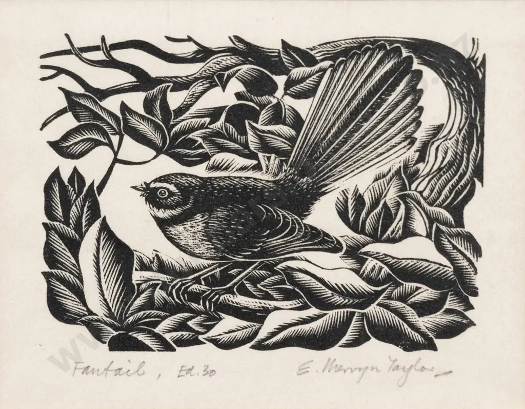 E Mervyn Taylor (1906 - 1964) - Fantail Image 1++