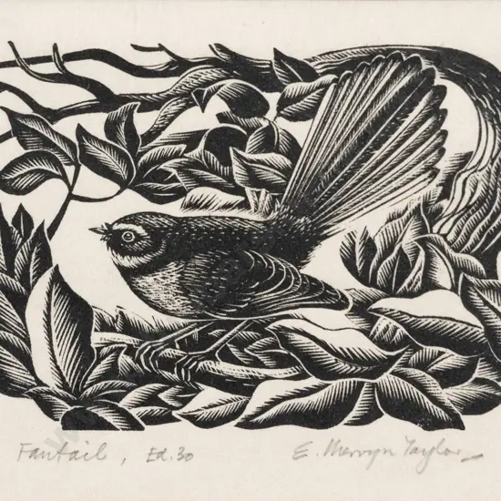 E Mervyn Taylor (1906 - 1964) - Fantail