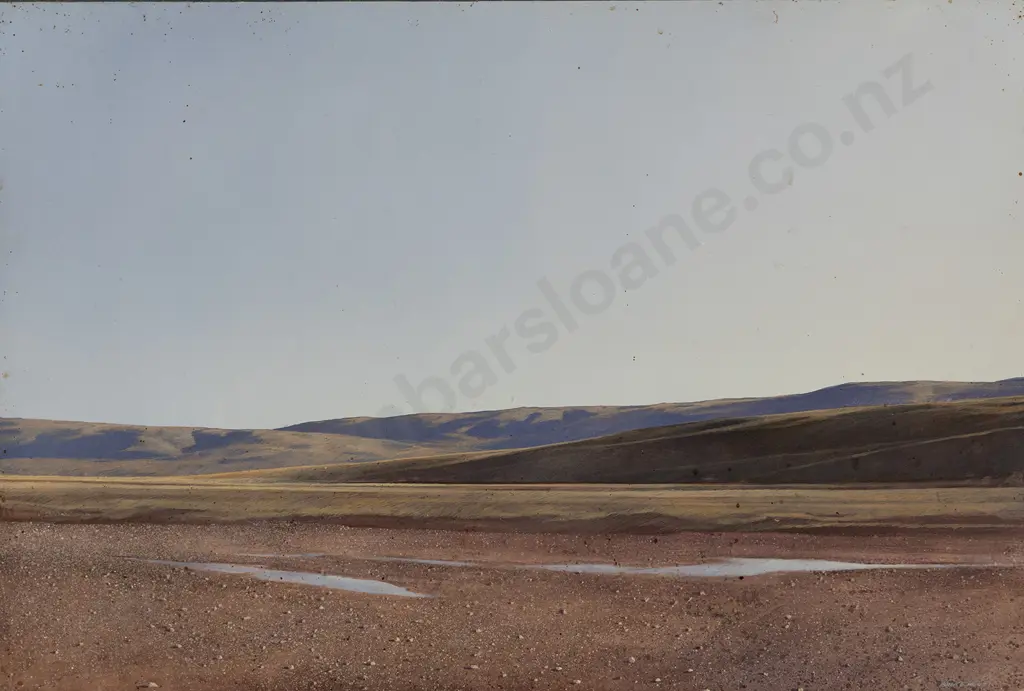 Bruce Hunt (b 1964) - Maniototo Image 1++