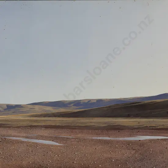 Bruce Hunt (b 1964) - Maniototo