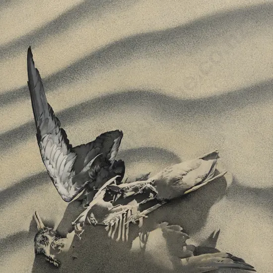 Max Tilley - Final Sanctuary