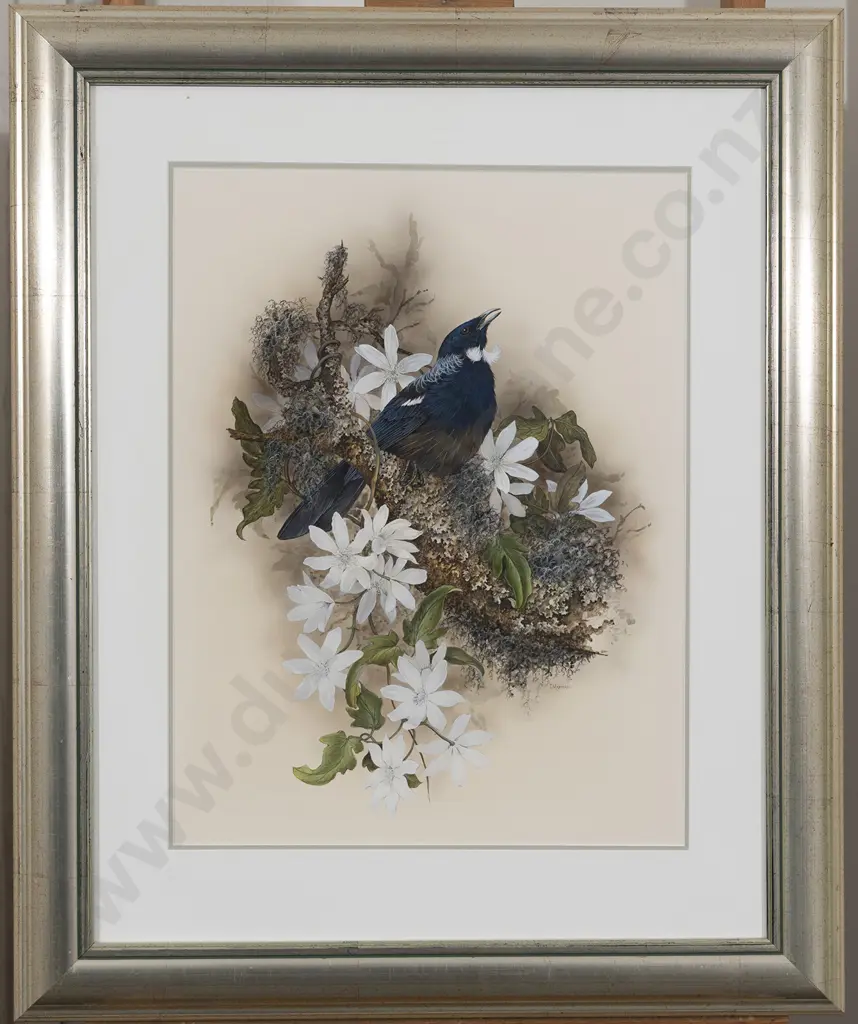 Janet Marshall (b 1947) - Tui & Native Clematis Image 1++