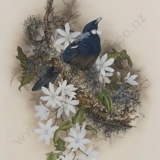Janet Marshall (b 1947) - Tui & Native Clematis