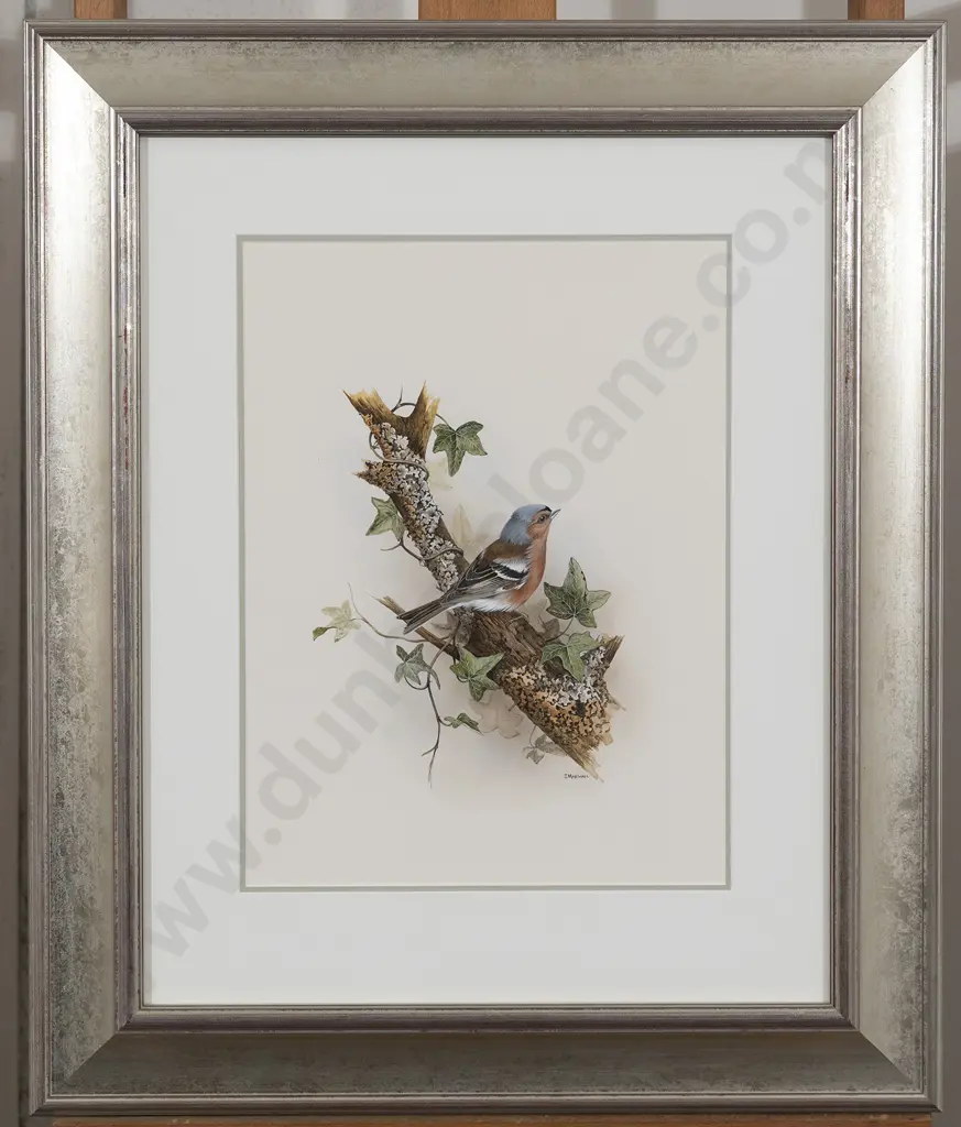 Janet Marshall (b 1947) - Chaffinch Image 1++