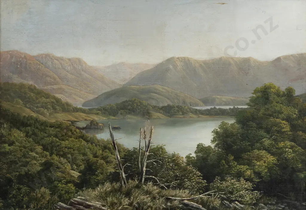 W M N Watkins (1835 - 1904) - Pigeon Island Lake Wanaka Image 1++
