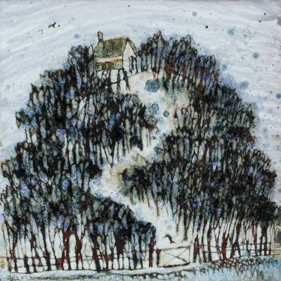 Gennie de Lange - In Search of a Cage