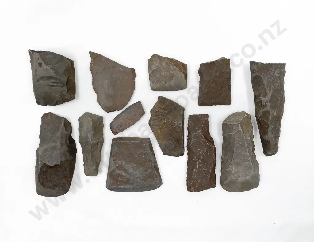 Eleven Adze Fragments From The Pitcairn Islands Image 1++