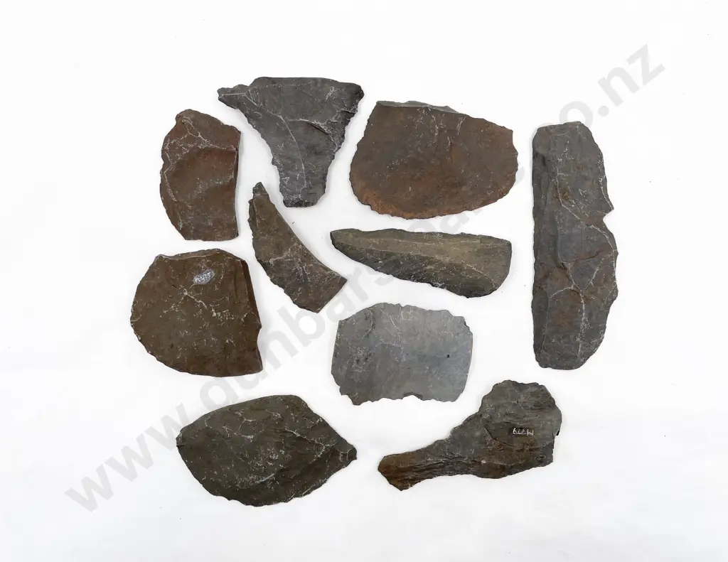 Ten Various Roughout Fragments From The Pitcairn Islands Image 1++