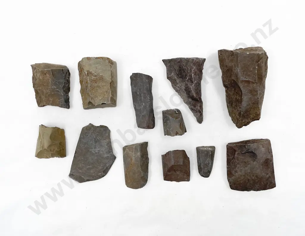 Twelve Various Roughout Fragments From The Pitcairn Islands Image 1++