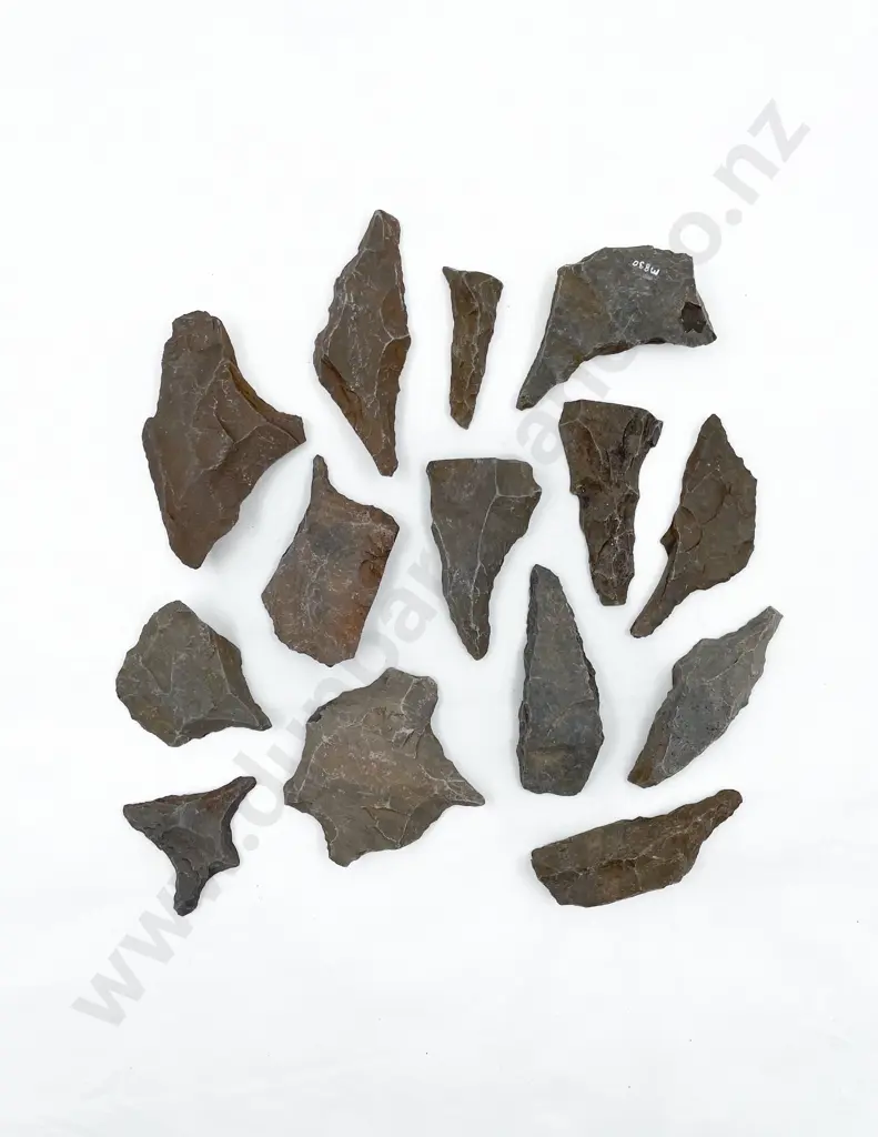 Fourteen Roughouts From The Pitcairn Islands Including Various Awls Image 1++