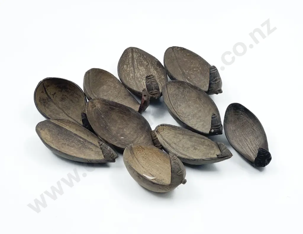 Ten Papua New Guinea Coconut Shell Spoons Image 1++