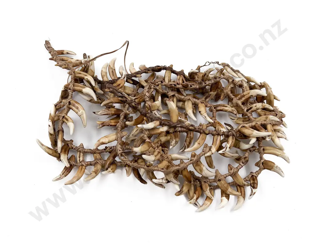 Papua New Guinea Warriors Dog Tooth Necklace Image 1++