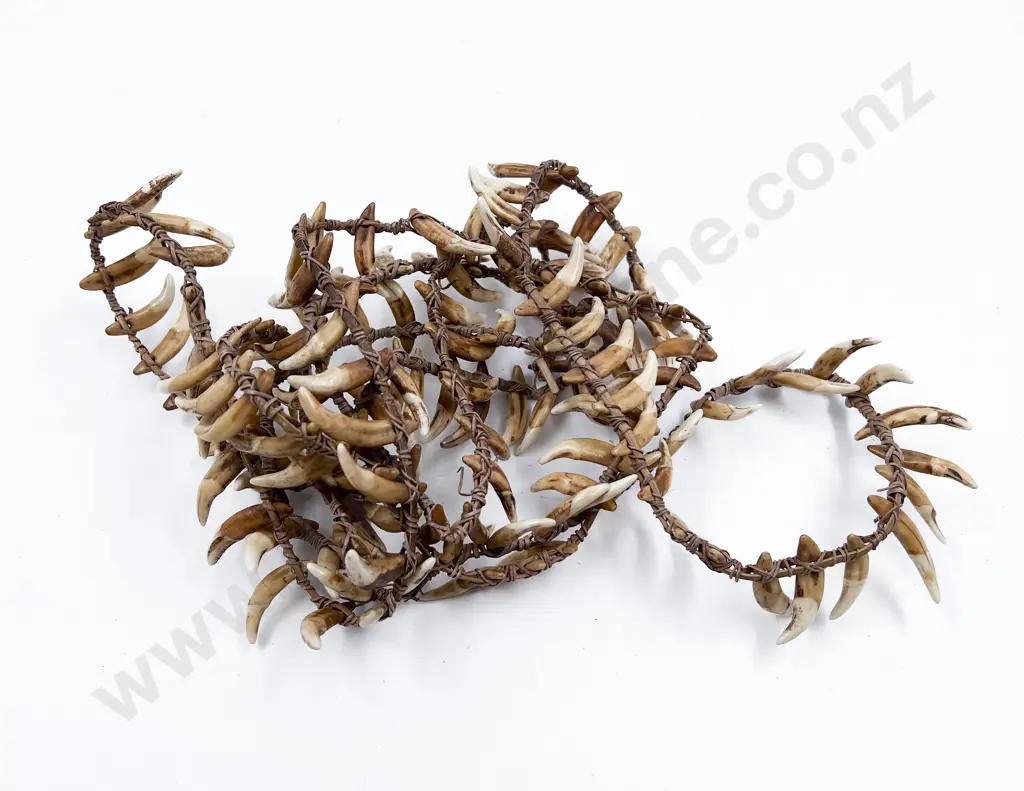 Papua New Guinea Warriors Dog Tooth Necklace Image 1++