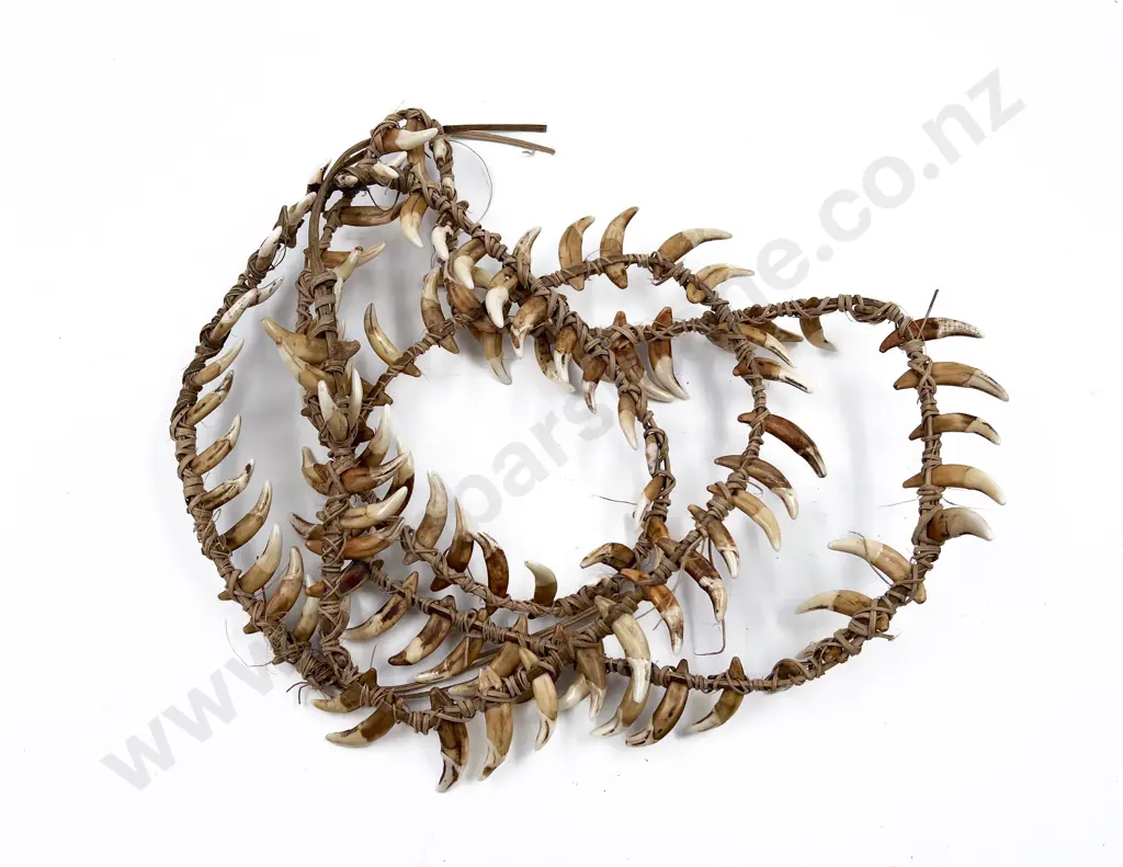 Papua New Guinea Warriors Dog Tooth Necklace Image 1++