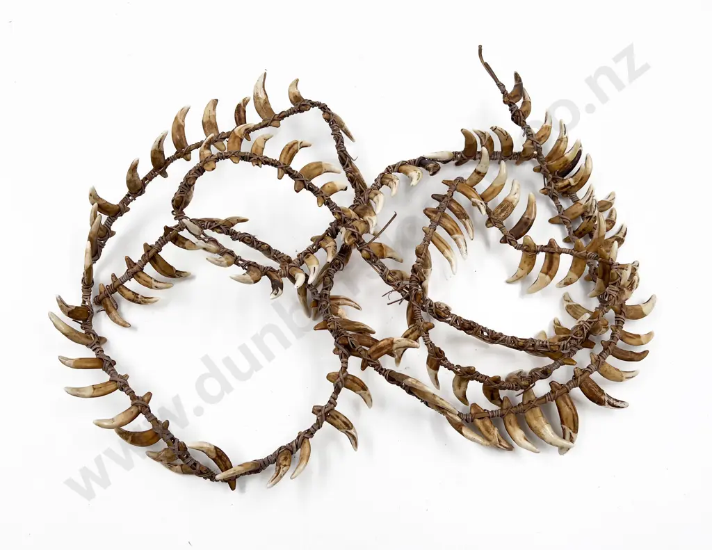 Papua New Guinea Warriors Dog Tooth Necklace Image 1++