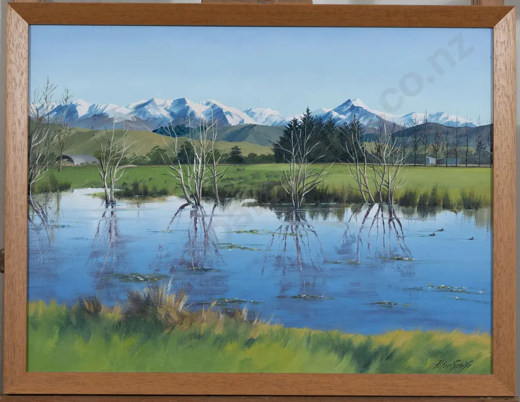 Peter Scaife - Tararua Reflection Image 1++