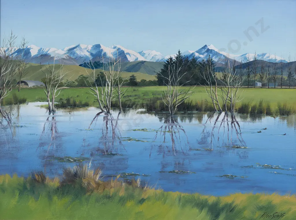 Peter Scaife - Tararua Reflection Image 1++