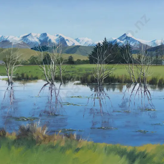 Peter Scaife - Tararua Reflection