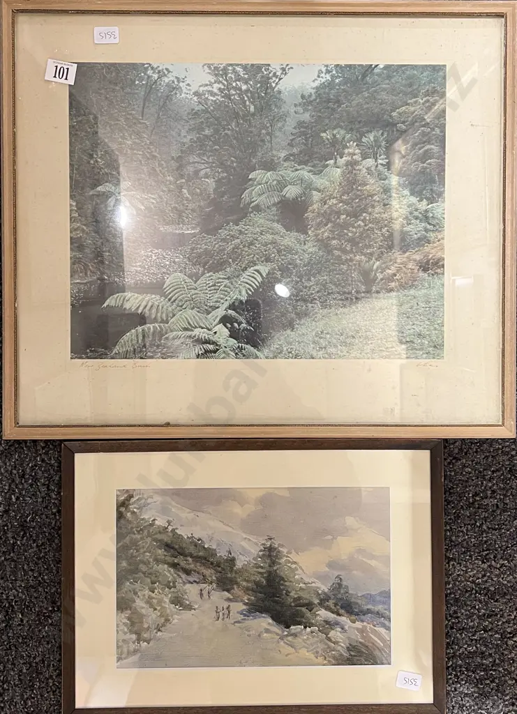 New Zealand Bush - Whites Aviation Photograph Image 1++