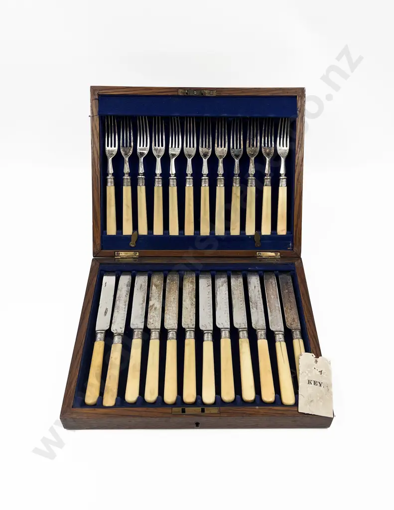 Cased S/P Bone Handled Cutlery Set with S/S Rim Image 1++