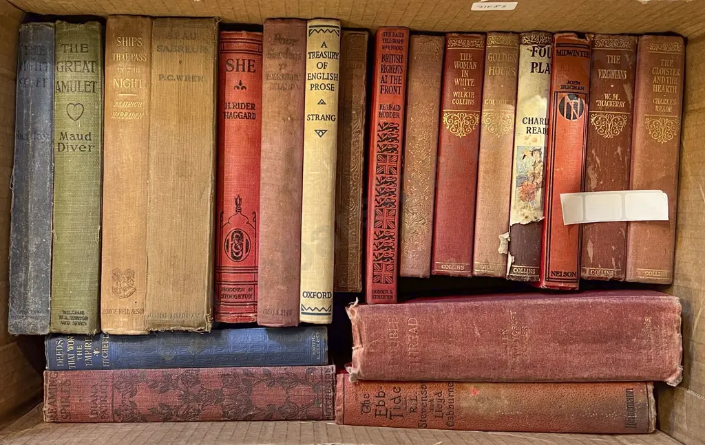 Box of Assorted 1900's Novels Image 1++