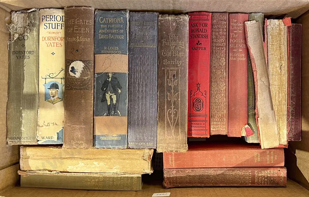 Box of Assorted 1900's Novels Image 1++