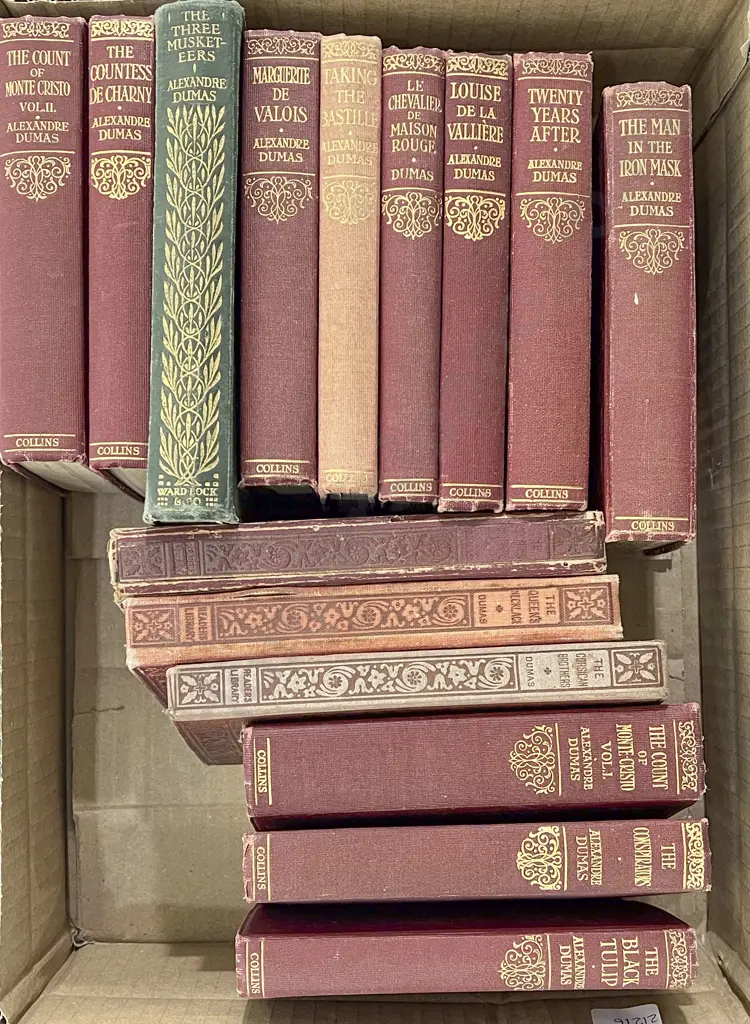 Box Quantity of Alexandre Dumas Novels Image 1++