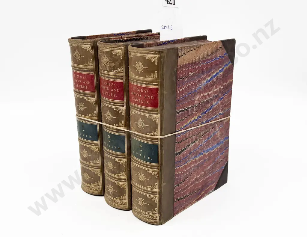 Timbs' Abbeys and Castles Volumes 1 - 3 Image 1++