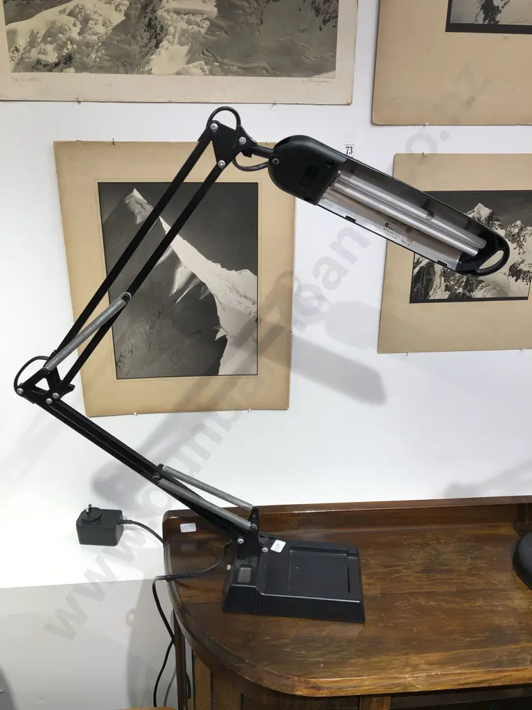 Modern Anglepoise Lamp Image 1++