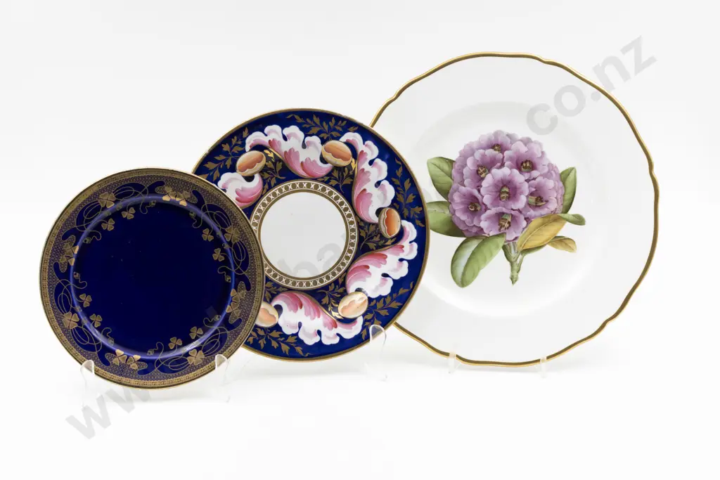Early C19th Spode Plate Image 1++