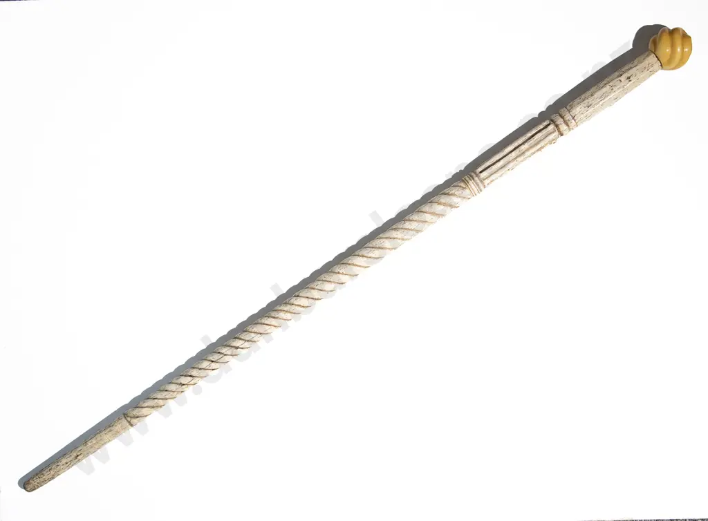 Antique Bone Walking Stick Image 1++