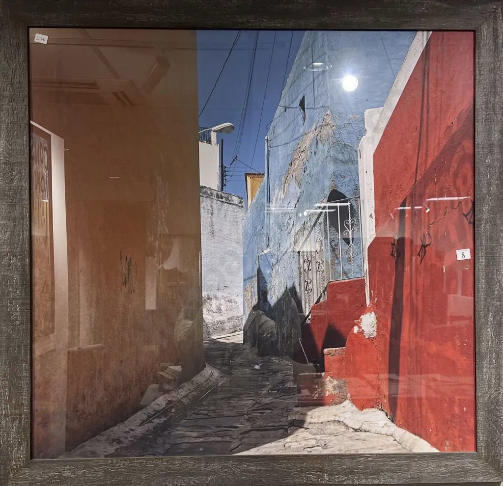 Large Framed Photography Print Image 1++