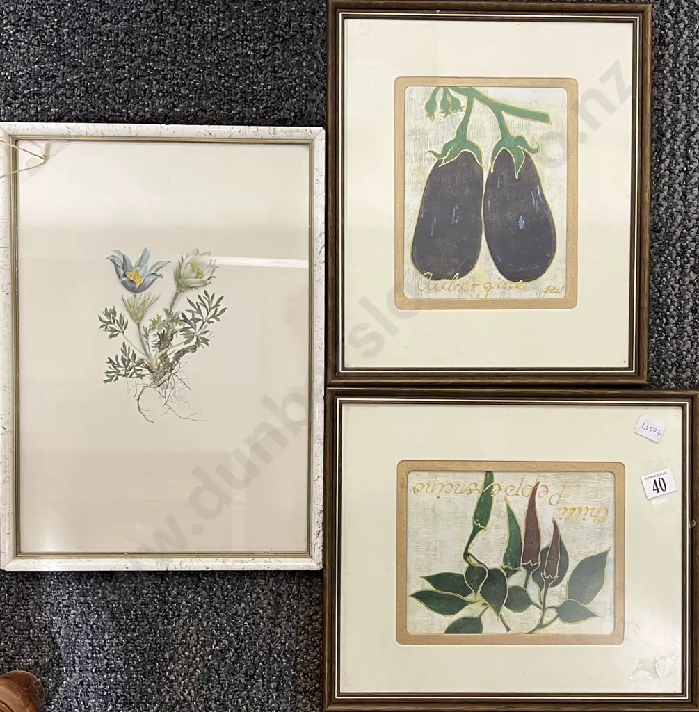 Three Assorted Framed Botanical Works Image 1++