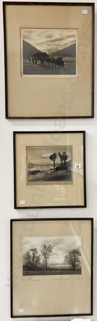 Three Vintage NZ Photographs Image 1++