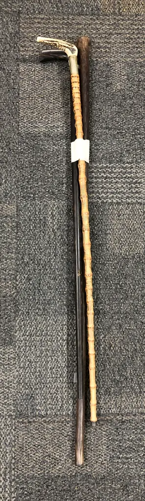 Three Walking Sticks Image 1++