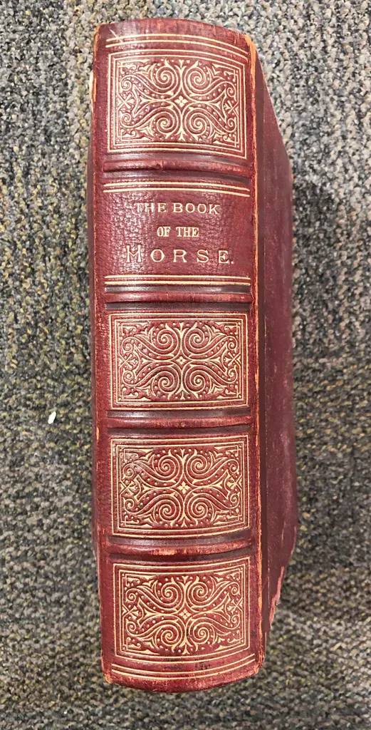 S. Sydney - The Book of the Horse Image 1++