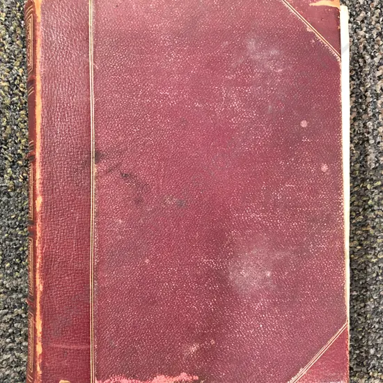 S. Sydney - The Book of the Horse