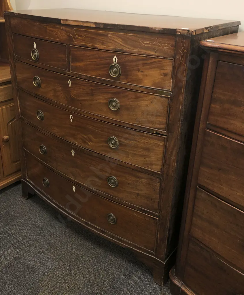 Antique Mahogany Bow Front Chest of Drawers Image 1++