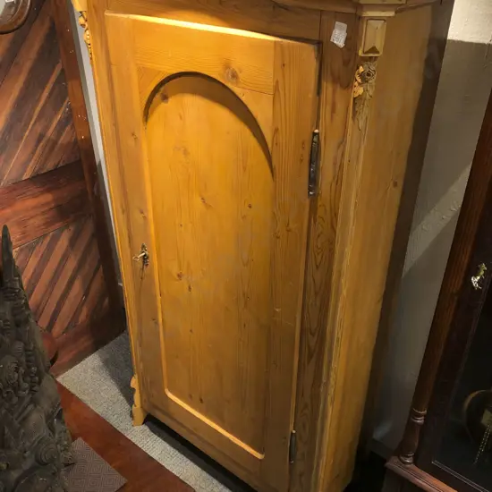 Baltic Pine Single Door Cabinet with Shelved Interior