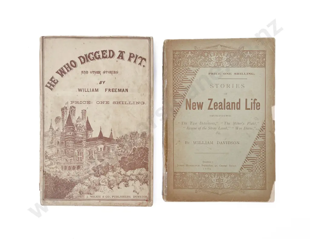 Two N.Z. Novels Image 1++
