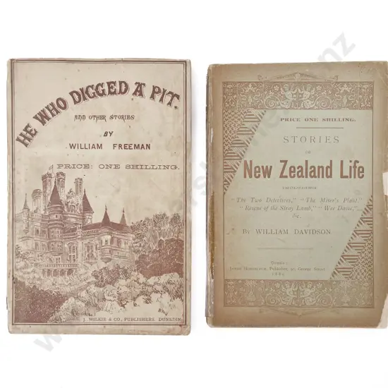 Two N.Z. Novels